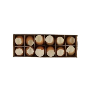 Sale Easter Egg Chicken open d4*6cm x12