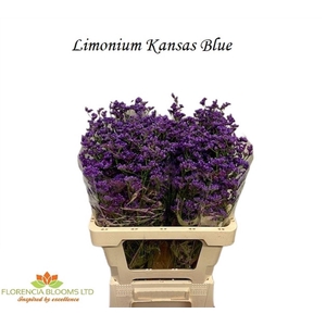 LIM SIN KANSAS BLUE