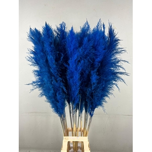 DF Pampas 130cm Dark Blue