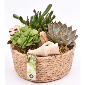 Touwmand laag 19,5cm