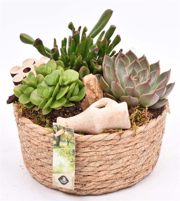 <h4>Touwmand laag 19,5cm</h4>