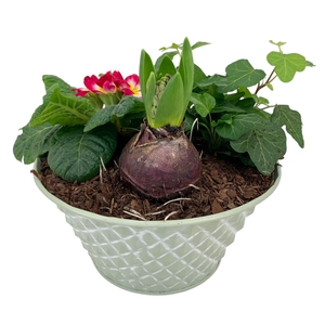 Ruitjes Groen Zink Prim Hyacint + Hedera 662