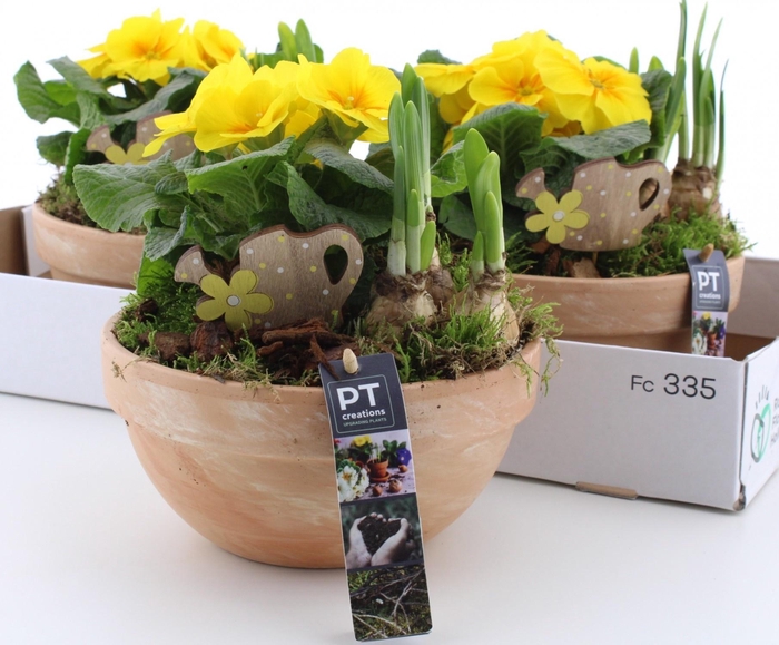 <h4>ARR PL IN SCHAAL</h4>