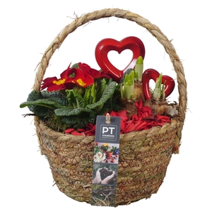PTVO3633 Arrangement Valentine Outdoor in rieten mand