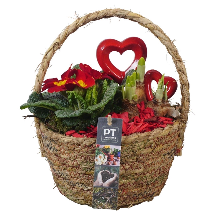 <h4>PTVO3633 Arrangement Valentine Outdoor in rieten mand</h4>