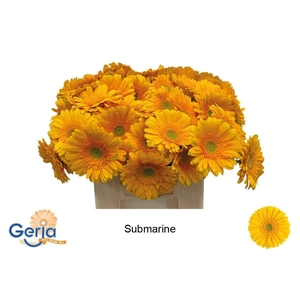 GE GR SUBMARINE