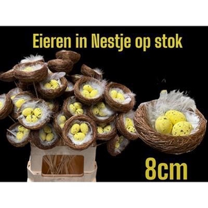 Bijsteker Vogelnest H%