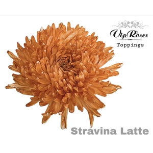 CHR G STRAVINA LATTE