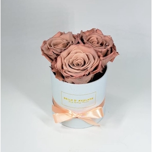 Box rd 10cm wit-caramel (cho89)
