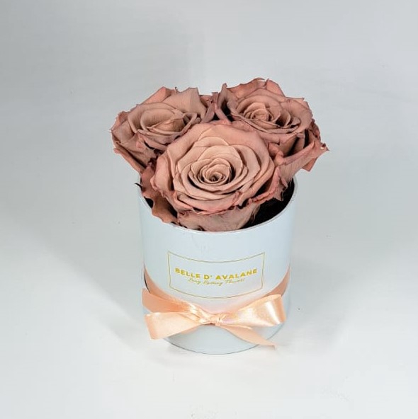 Box rd 10cm wit-caramel (cho89)