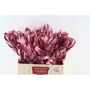 Leucad Pink Mettalic Extra