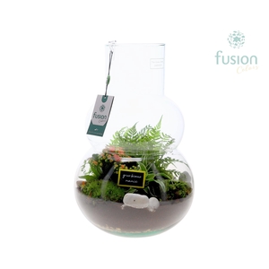 Green Bottle Olaf Large met Grootmoederdag arrangement