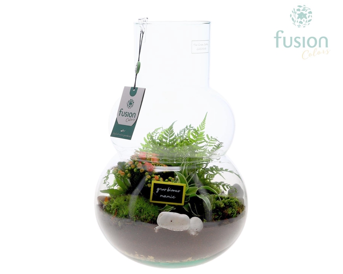 <h4>Green Bottle Olaf Large met Grootmoederdag arrangement</h4>