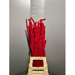 Betula Flocked Red Rosso