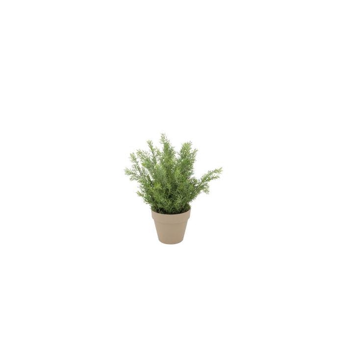 <h4>Silk Cypress Green In Pot Terra S 18x18x21cm Nm</h4>