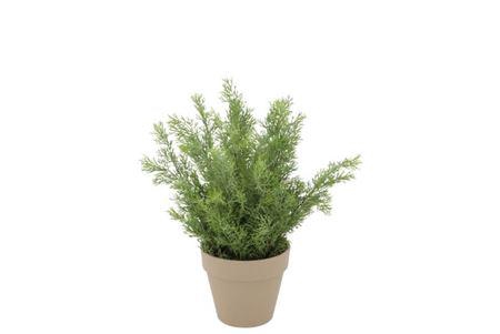 Silk Cypress Green In Pot Terra S 18x18x21cm Nm
