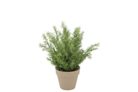 <h4>Silk Cypress Green In Pot Terra S 18x18x21cm</h4>