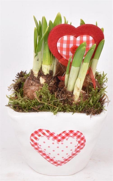 <h4>Keramiek met hart 10x10</h4>