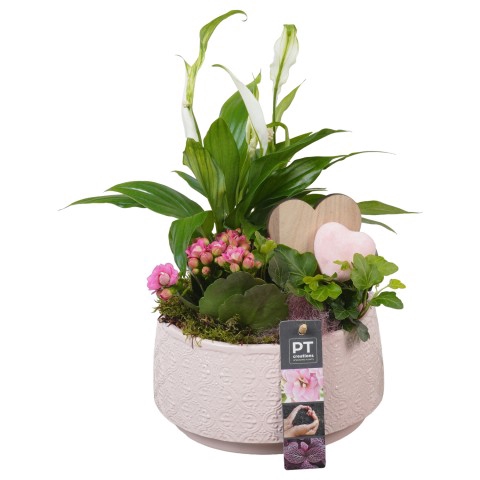 <h4>PTVMB4721 Arrangementen kamerplanten</h4>