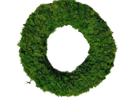 <h4>Wreath Reindeer Moss H8D40</h4>