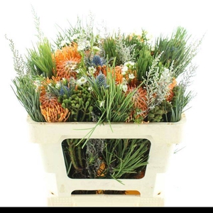 ALLERHEILIGENBOEK BS