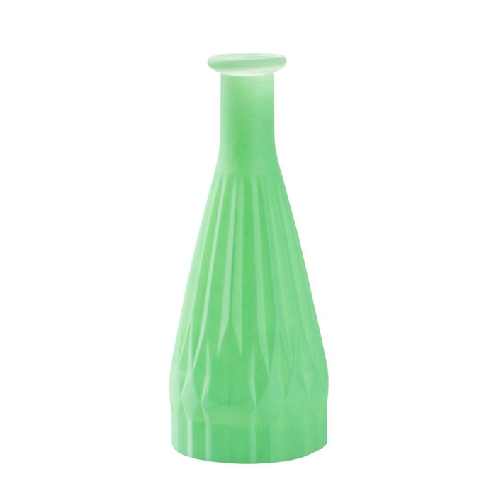 <h4>Glas Fles Patty d03/8*21cm</h4>
