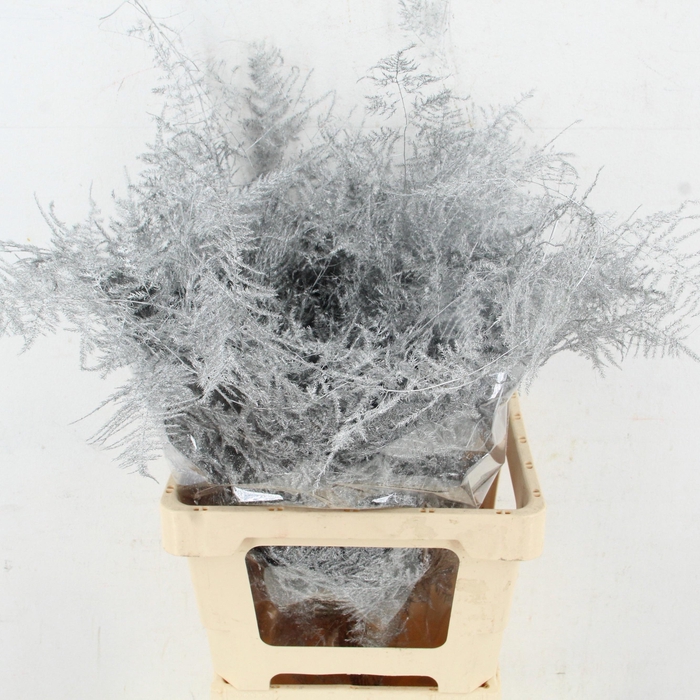 <h4>ASP OV KLB H%</h4>