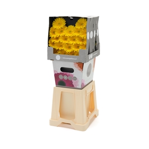 Germini Emoji Diamond