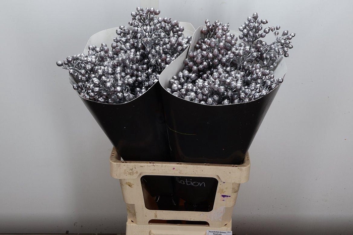 <h4>Rosa Bottel Wx Zilver Fijn</h4>