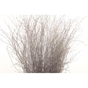 Berk Klb Silver