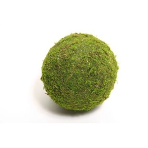 Ball Asia Moss D15