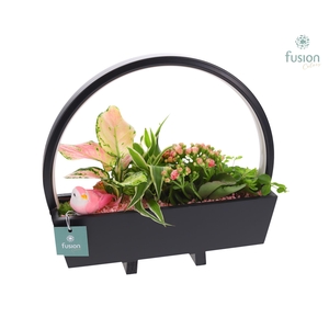 Lamp LED boog hout met arrangement