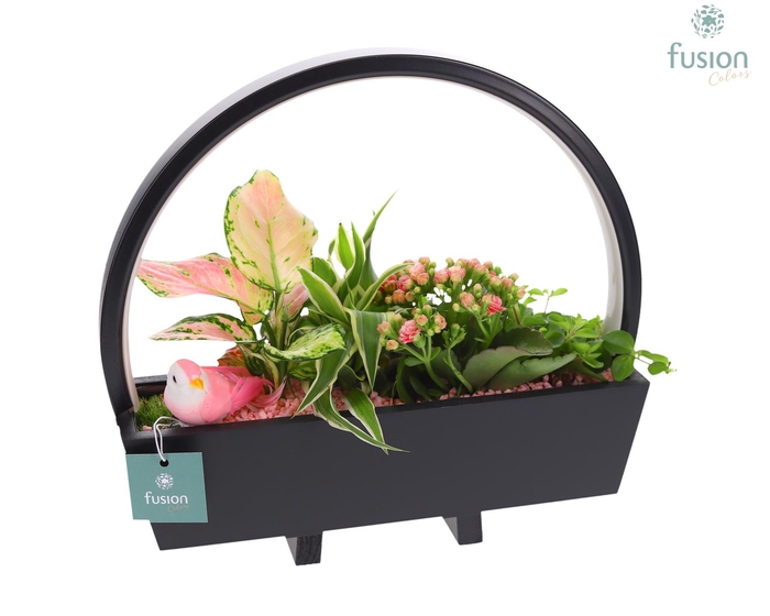 <h4>Lamp LED boog hout met arrangement</h4>