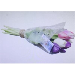 3117 Kunst Tulp Paars/wit/roze