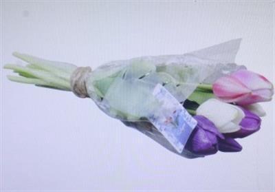 <h4>3117 Kunst Tulp Paars/wit/roze</h4>