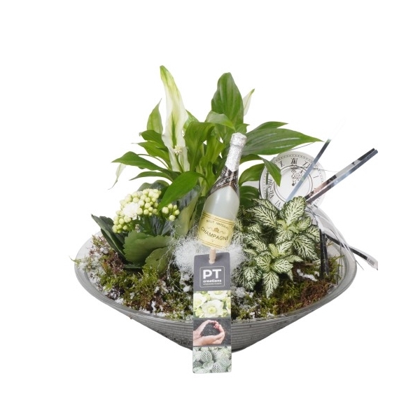 <h4>PTON5165 Arrangement New Year in glasschaal</h4>