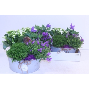 ARR TUINPLANTEN
