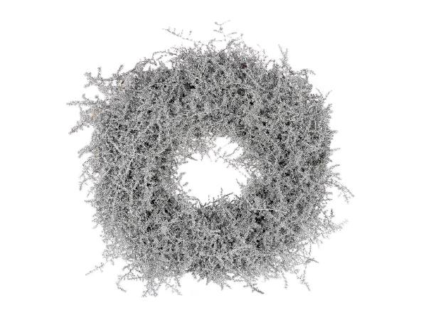 Wreath Asparagus Glitter D40