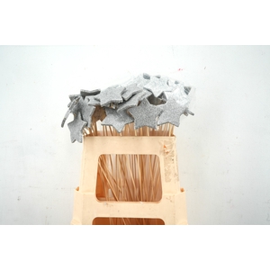 Pick glitter star foam d.7cm+50cm stick silver