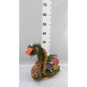 Decoratie  ..Vogelzaadfiguur  H%