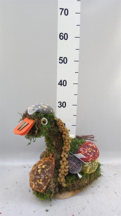 <h4>Decoratie  ..Vogelzaadfiguur  H%</h4>