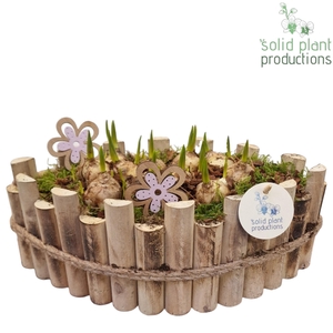 HMU006 Napoli Large Muscari