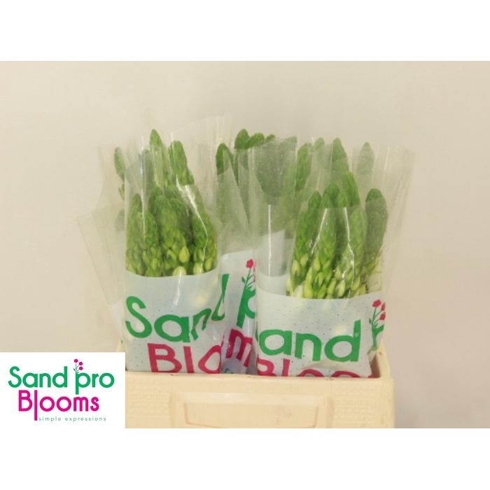 <h4>ORNIT THY MILKY WAY</h4>