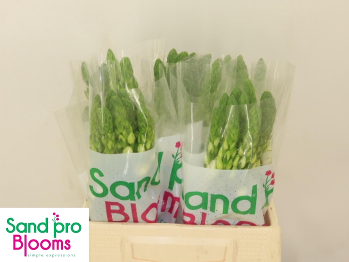 <h4>ORNIT THY MILKY WAY</h4>