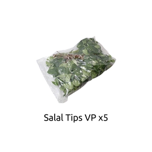 Salal Tip Sleeved X5