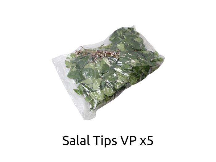 <h4>Salal Tip Sleeved X5</h4>