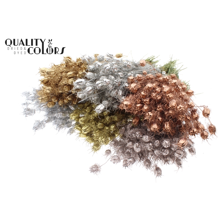 <h4>Nigella per bunch Metallic Mix</h4>