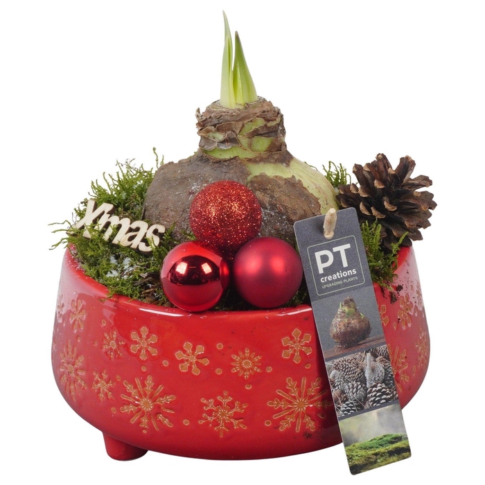 <h4>Deco Christmas Arrangement 18Ø 26cm</h4>