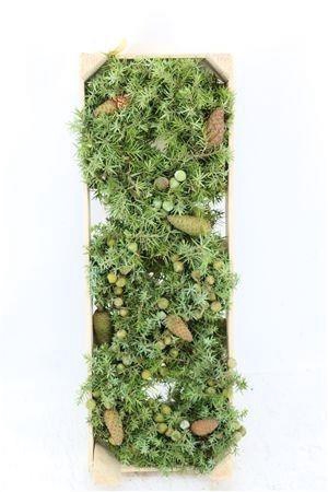<h4>SIERFRUIT KRANS H%</h4>