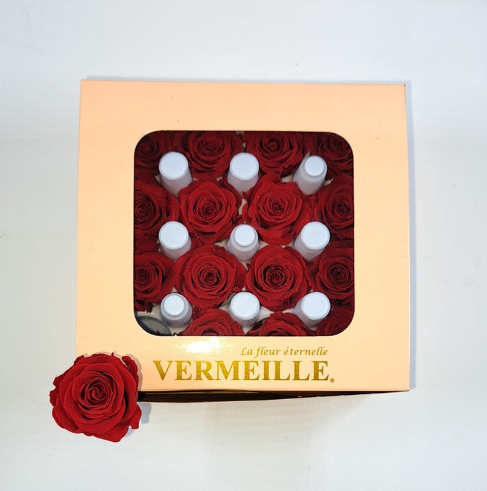 <h4>Rose Ava Red</h4>